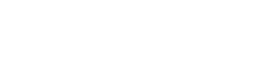 logo-avada-business